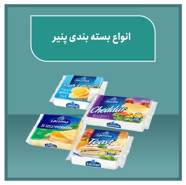 Types cheese packaging